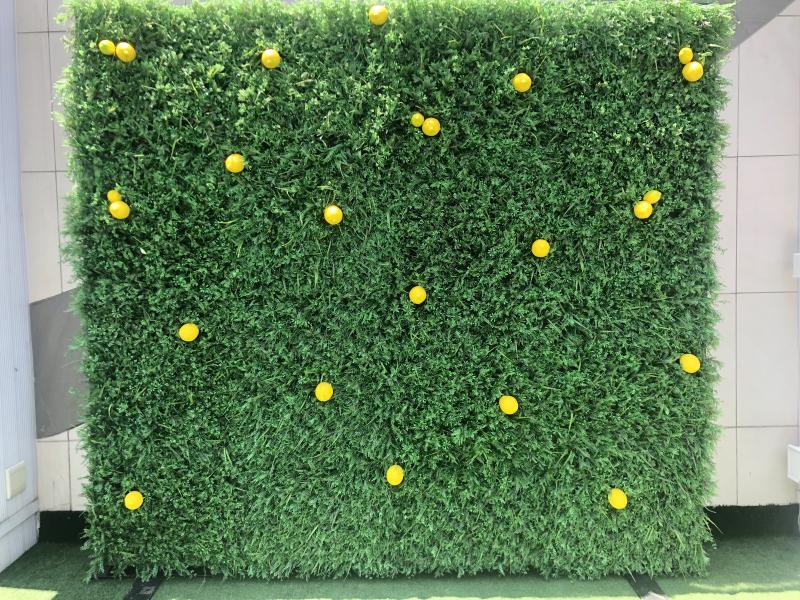 hedge-wall-with-lemons